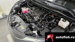 Миниатюра 6