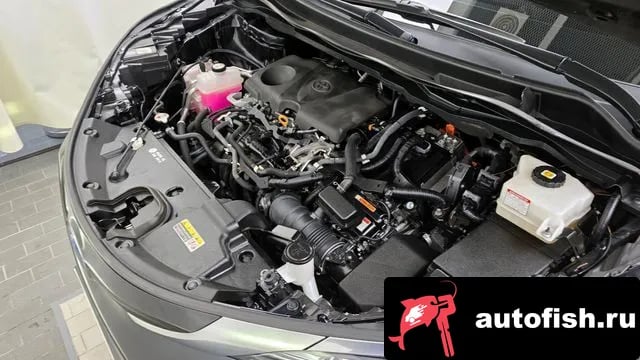 Toyota Sienna Siena 4th Generation 2021 года - вид 6