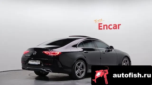 Mercedes-Benz CLS-Class CLS-Class C257 2019 года - вид 2