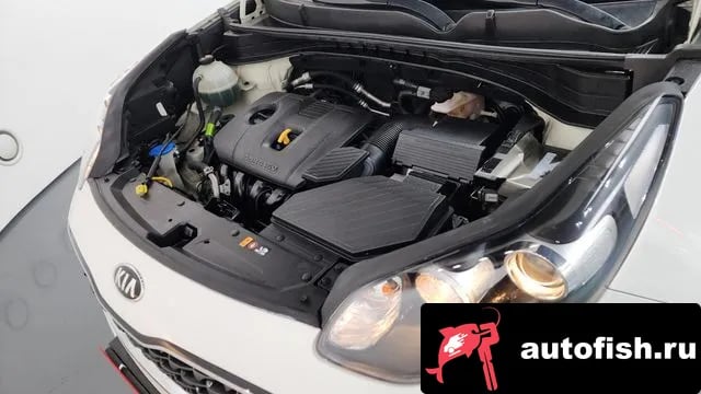 Kia Sportage Sportage The Bold 2020 года - вид 6