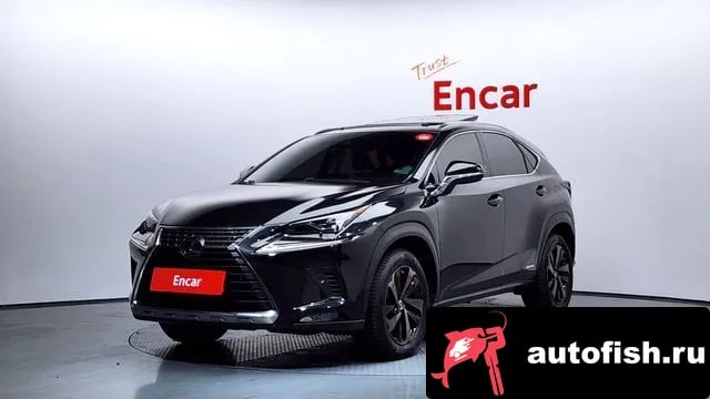 Lexus NX NX300h 2019 года - вид 1