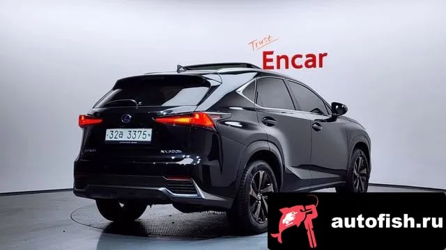 Lexus NX NX300h 2019 года - вид 2