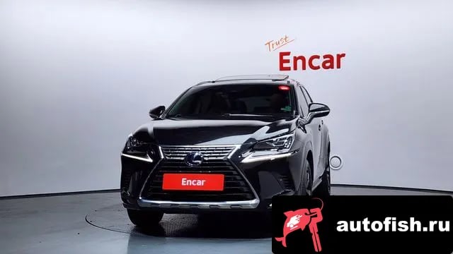 Lexus NX NX300h 2019 года - вид 3