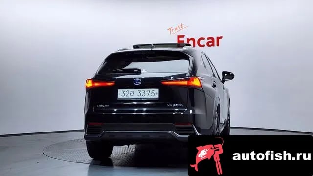 Lexus NX NX300h 2019 года - вид 4