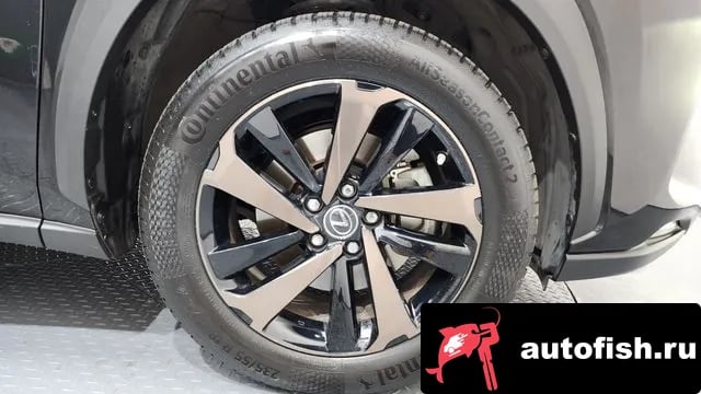 Lexus NX NX300h 2019 года - вид 5