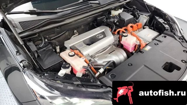 Lexus NX NX300h 2019 года - вид 6