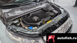 Миниатюра 6