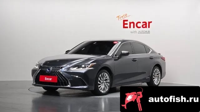 Lexus ES ES300h 7th generation 2022 года - вид 1