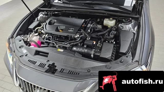 Lexus ES ES300h 7th generation 2022 года - вид 6