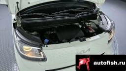 Миниатюра 6