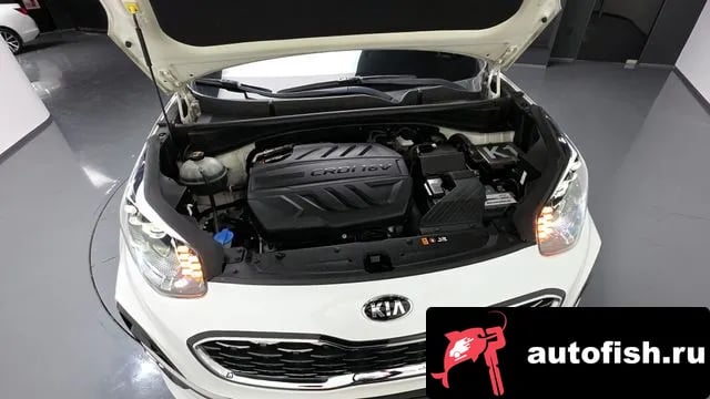 Kia Sportage Sportage The Bold 2020 года - вид 6