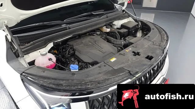 Kia Carnival The New Carnival 4th Generation 2024 года - вид 6
