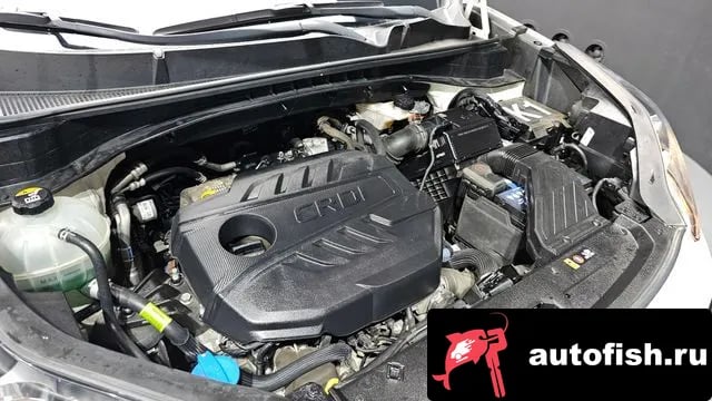 Kia Sportage Sportage The Bold 2019 года - вид 6