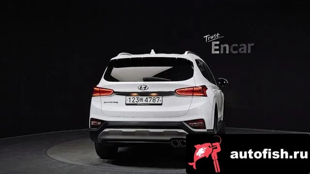 Hyundai Santafe San Tafe TM 2020 года - вид 4