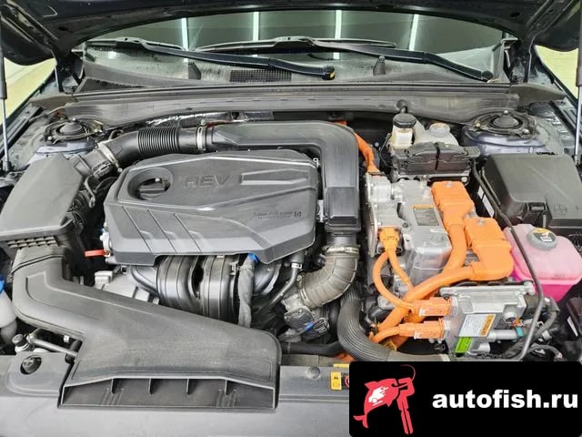 Kia K5 The New K5 Hybrid 3rd generation 2024 года - вид 6