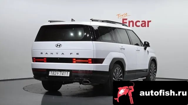 Hyundai Santafe San Tafe (MX5) 2024 года - вид 2