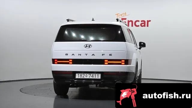 Hyundai Santafe San Tafe (MX5) 2024 года - вид 4
