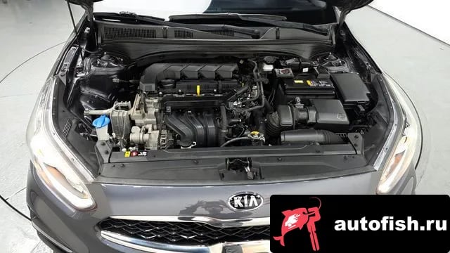 Kia K3 Come New K3 2018 года - вид 6