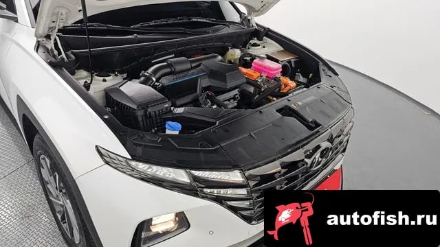 Hyundai Tucson Tucson Hybrid (NX4) 2021 года - вид 6