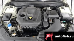 Миниатюра 6