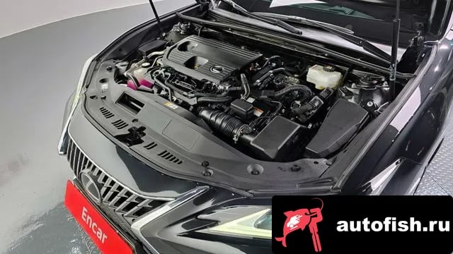 Lexus ES ES300h 7th generation 2023 года - вид 6