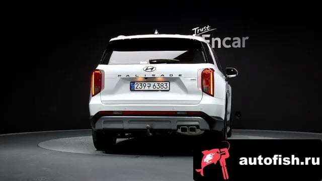 Hyundai Palisade The New Palisade 2024 года - вид 4