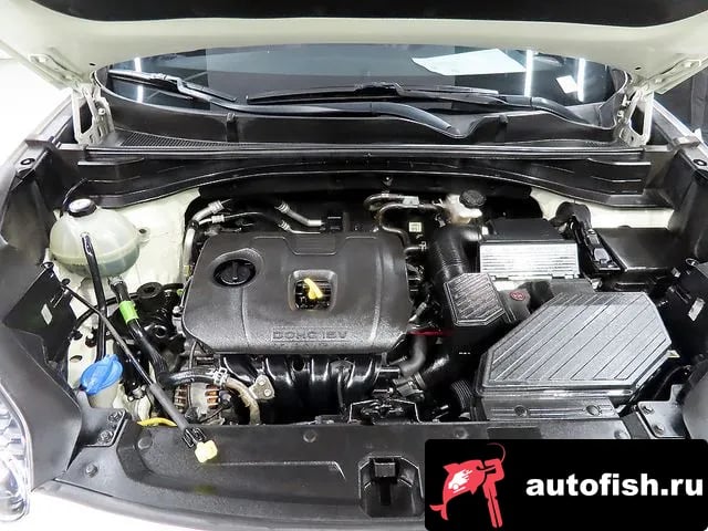 Kia Sportage Sportage The Bold 2019 года - вид 6