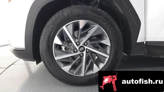 Hyundai Tucson Tucson Hybrid (NX4) 2023 года - вид 5