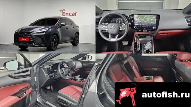 Lexus NX NX350h Second generation 2024 года - вид 1