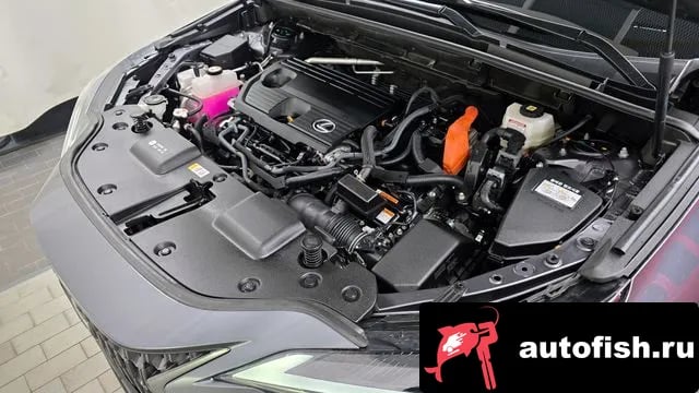 Lexus NX NX350h Second generation 2024 года - вид 6