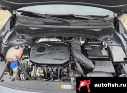 Миниатюра 6