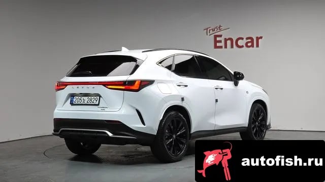 Lexus NX NX450h + 2nd generation 2023 года - автомобиль из Южной Кореи