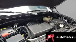 Миниатюра 6