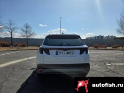 Миниатюра 4