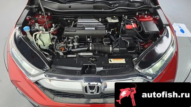 Honda CR-V CR-V 5th generation 2019 года - вид 5