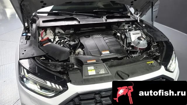 Audi Q5 Q5 (FY) 2023 года - вид 6