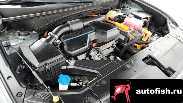 Hyundai Tucson Tucson Hybrid (NX4) 2020 года - вид 6