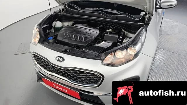 Kia Sportage Sportage The Bold 2019 года - вид 6