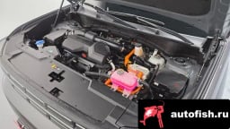 Миниатюра 6