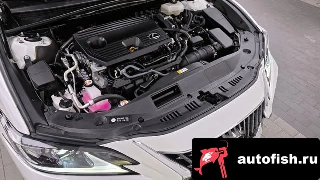 Lexus ES ES300h 7th generation 2023 года - вид 6