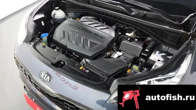 Kia Sportage Sportage The Bold 2018 года - вид 6