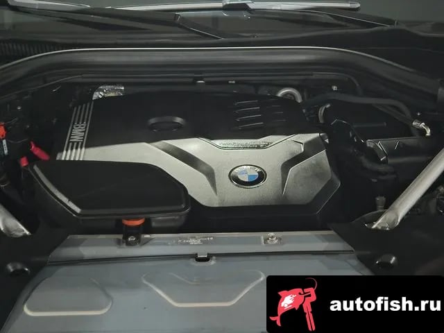 BMW X4 X4 (G02) 2021 года - вид 6