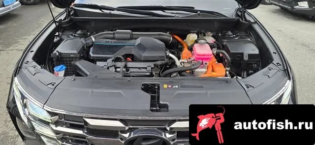 Hyundai Tucson The New Tucson Hybrid (NX4) 2024 года - вид 2