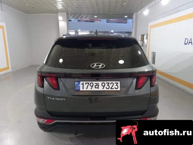 Hyundai Tucson Tucson (NX4) 2023 года - вид 4
