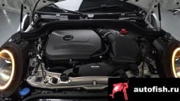 Миниатюра 6