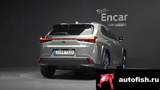 Lexus UX UX250h 2022 года - вид 4