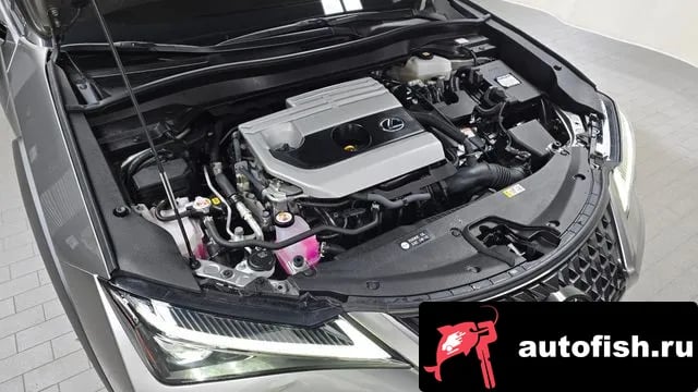 Lexus UX UX250h 2022 года - вид 6