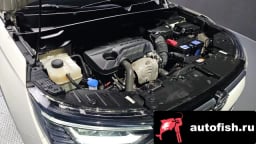 Миниатюра 6