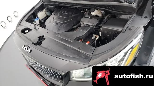 Kia Carnival The New Carnival 2018 года - вид 6