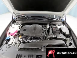 Миниатюра 6